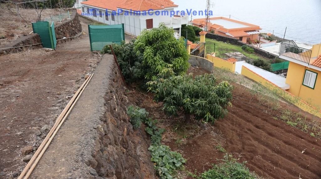 Foto suelo rústico en venta en puntallana santa cruz de tenerife