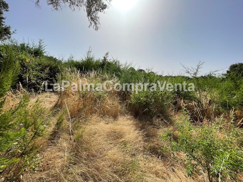 suelo rústico en venta en roque faro santa cruz de tenerife foto grande (2)