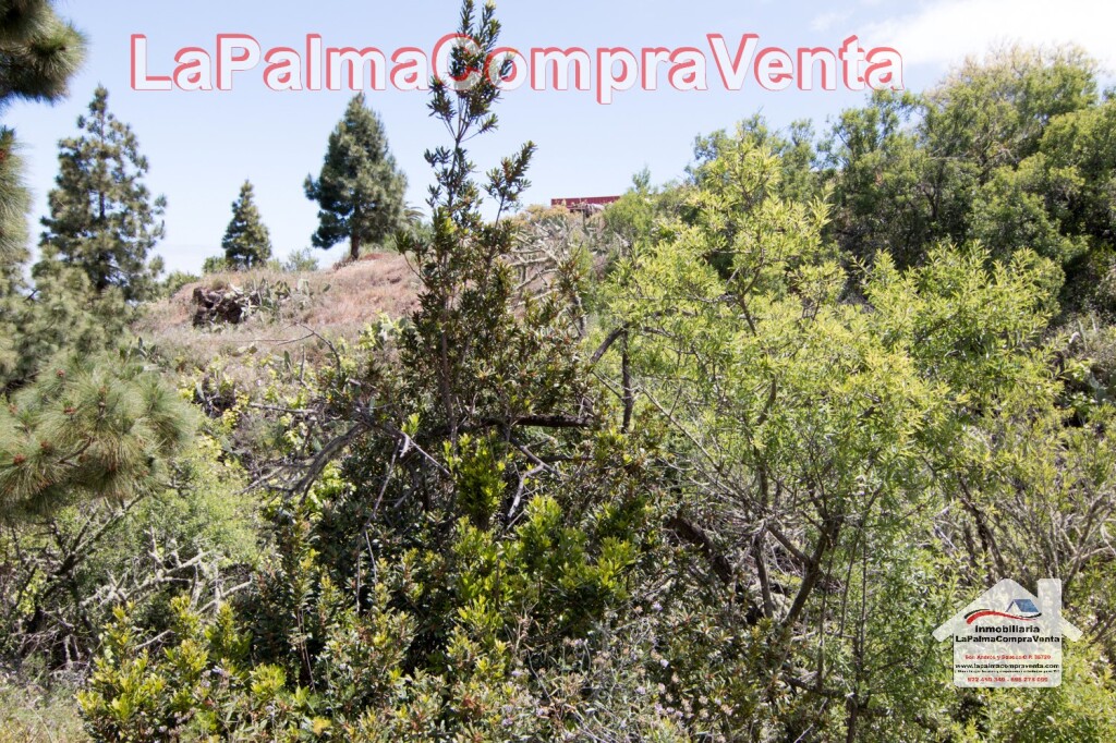 suelo rústico en venta en puntagorda santa cruz de tenerife foto grande (3)
