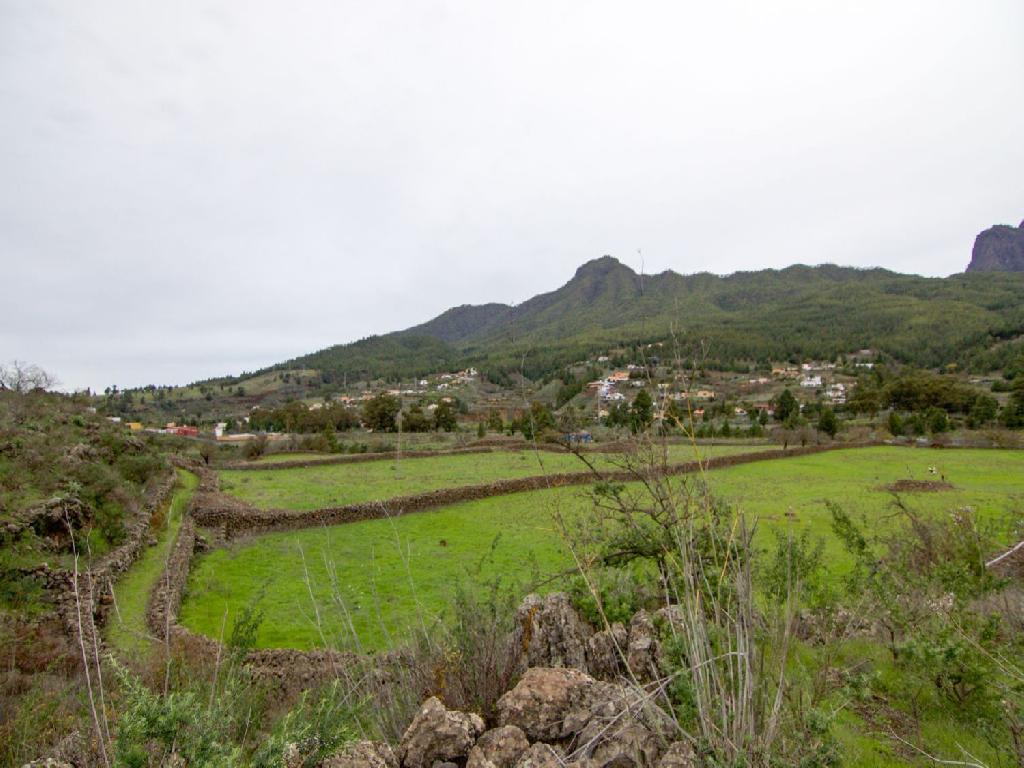 Solar residencial en Venta en Paso, El Santa Cruz de Tenerife
