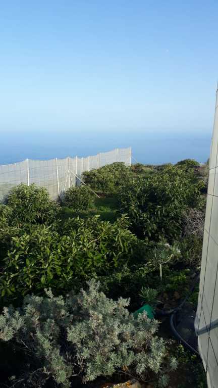 Suelo rústico en Venta en Villa De Mazo Santa Cruz de Tenerife 