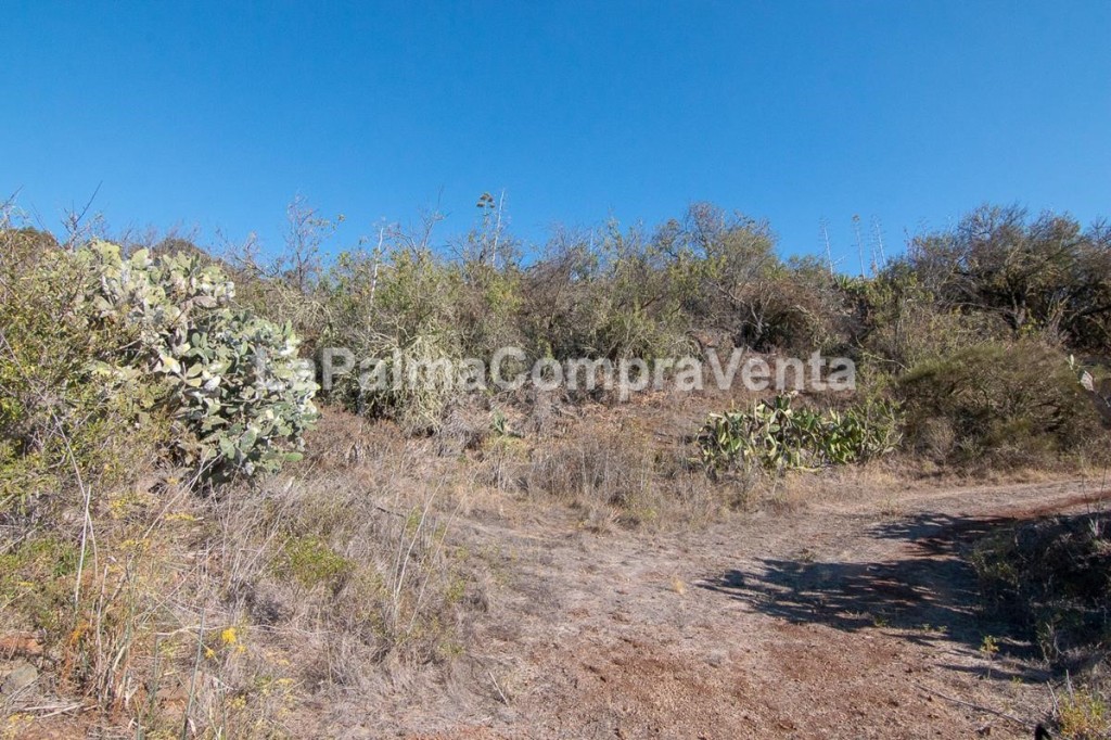 Foto suelo rústico en venta en puntagorda santa cruz de tenerife