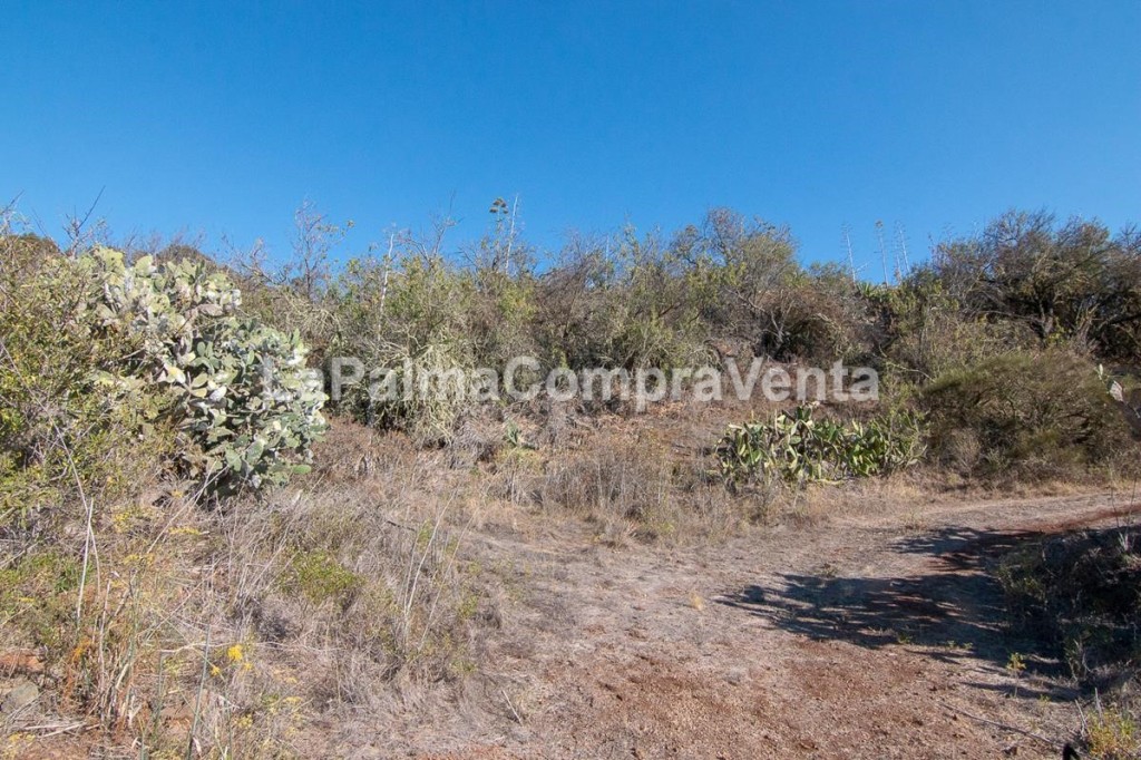 Plot for sale in Puntagorda