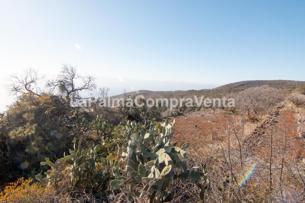 suelo rústico en venta en puntagorda santa cruz de tenerife foto grande (2)