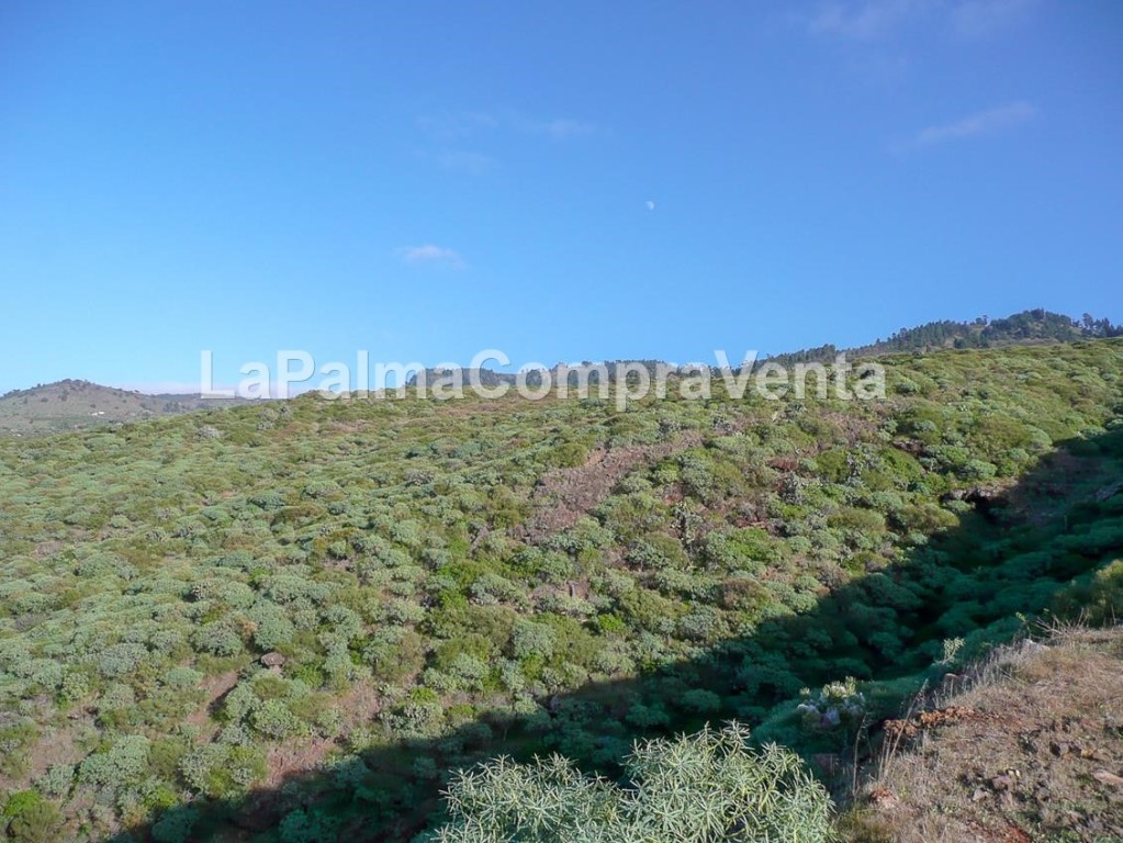 suelo rústico en venta en tricias, las santa cruz de tenerife foto grande (3)