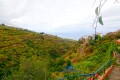 Foto43