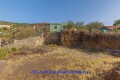 Foto37