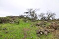 Foto9