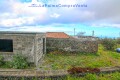 Foto43