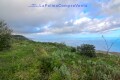 Foto47