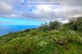 Foto52