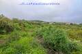 Foto56