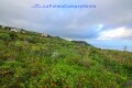 Foto57