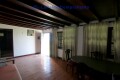Foto53