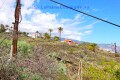 Foto34