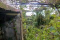 Foto36
