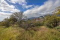 Foto83