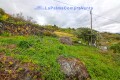 Foto66