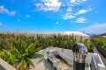 Foto43