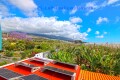 Foto49