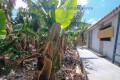 Foto51