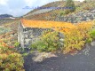 Foto19