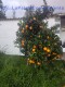 Foto6
