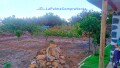 Foto8