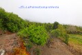Foto33