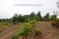 Foto34
