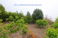 Foto37
