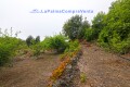 Foto38
