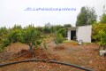 Foto41