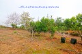 Foto3