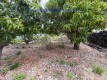 Foto40