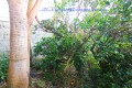 Foto8