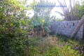 Foto9