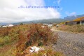 Foto8