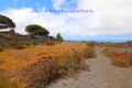 Foto16