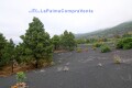 Foto6