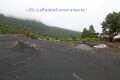 Foto8