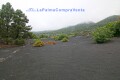 Foto9
