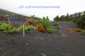 Foto12
