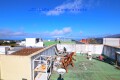 Foto42