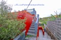 Foto59