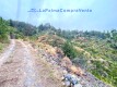 Foto8