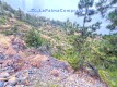 Foto9