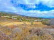 Foto8