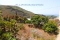 Foto9