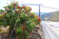 Foto14